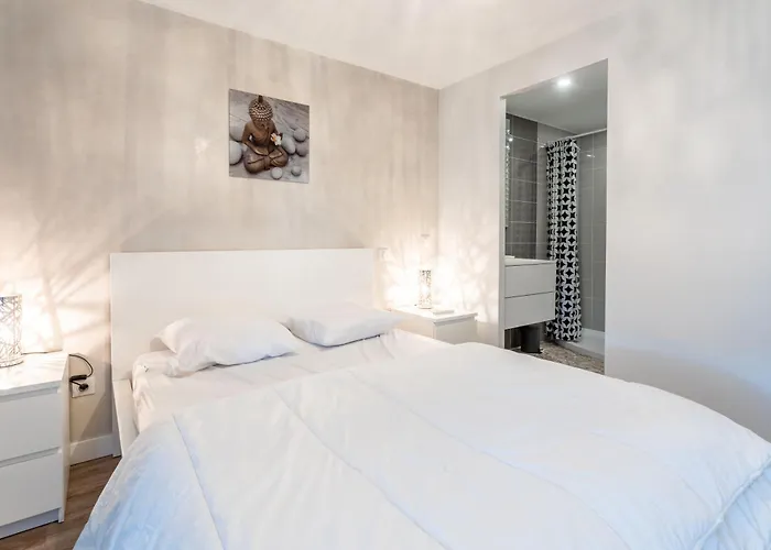 Superbe F2 Spacieux - Raphael Apartment *